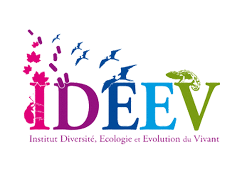 Logo de l'IDEEV - Institut Diversité, Écologie et Évolution du Vivant Paris-Saclay