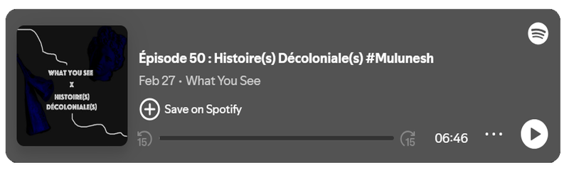 Podcast - What you see - Épisode 50 : Histoire(s) Décoloniale(s) #Mulunesh