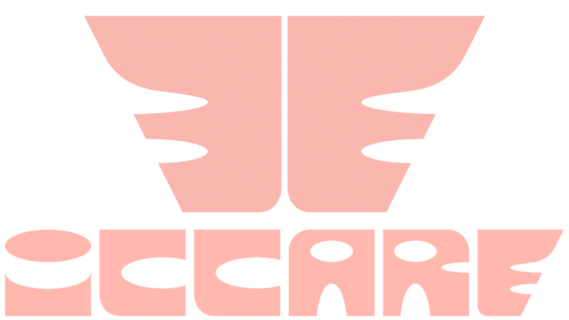 Logo du  programme de recherche national Industries culturelles et créatives (PEPR ICCARE),
