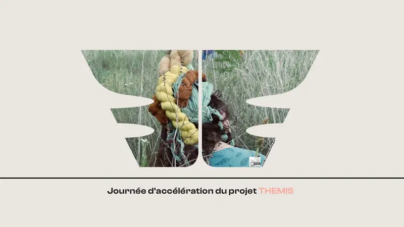 Affiche du projet THEMIS