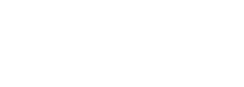 Logo de la Fondation Daniel & Nina Carasso