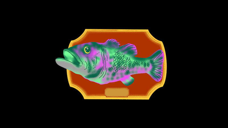 Illustration d'un saumon encadré.